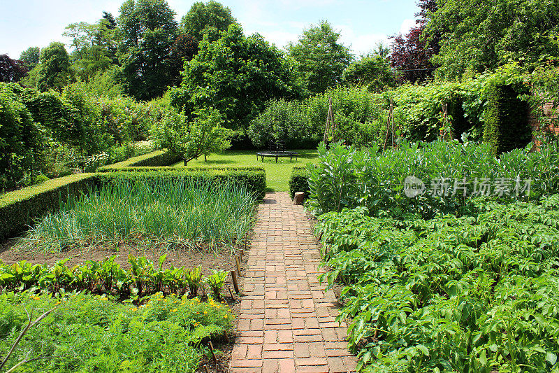 观赏性蔬菜花园/有围墙的厨房花园，土豆植物的形象